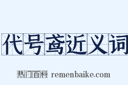 代号鸢近义词是什么意思的图片